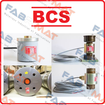 Bcs