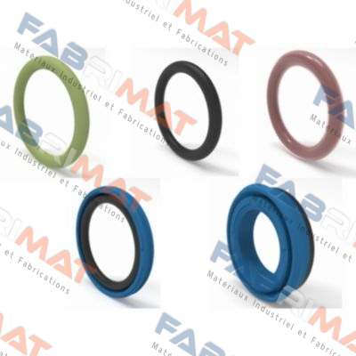 P-A1-2015 INOX  Angst-Pfister