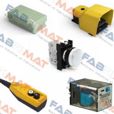 CP100S31  Emas