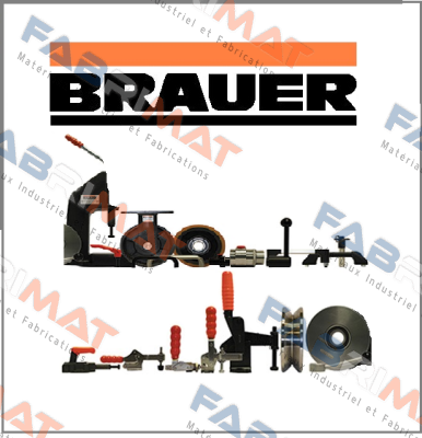 HQZF/SFT200/90TB  Brauer