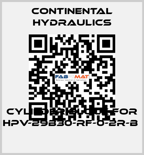 cylinder block for HPV-29B30-RF-0-2R-B  Continental Hydraulics
