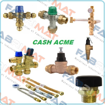12316, BR/BR/TF, TYPE B X 3/8" FNPT, FORCRYOGENIC/OXYGEN SERVICE, WITH ADJUSTABLE SPRING (10-50 PSI) Cash Acme