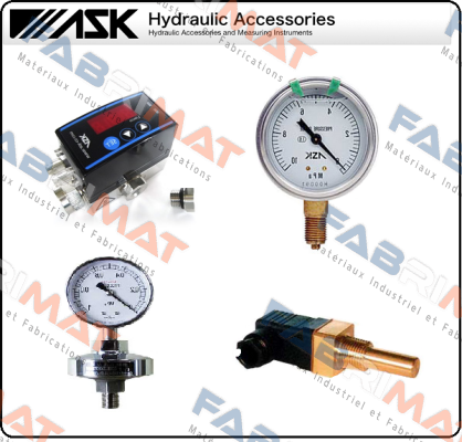 OPG-DT-R1/4-39X10MPa-S Ask