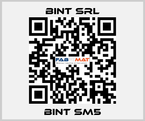 BINT SM5 BINT SRL