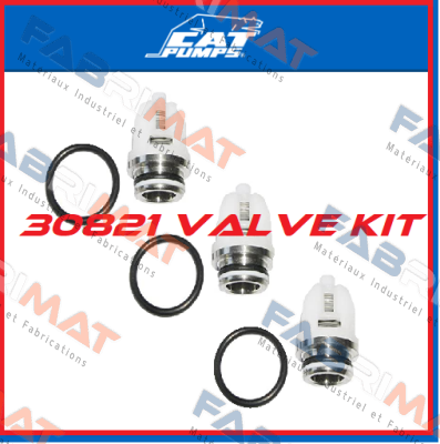 30821 Cat Pumps