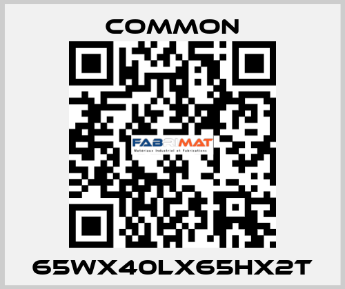 65Wx40Lx65Hx2T COMMON
