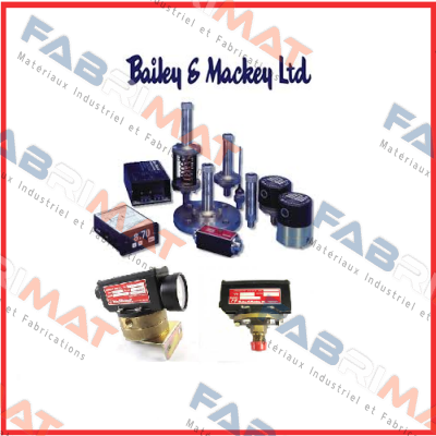 TYPE 1382 (0.2- 4 bar) Bailey & Mackey