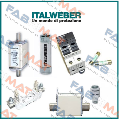 0104005  Italweber