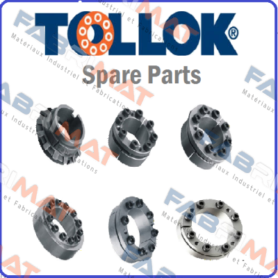 T133065X095  Tollok
