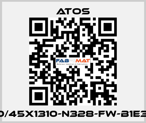 CK-80/45X1310-N328-FW-B1E3X1Z3 Atos