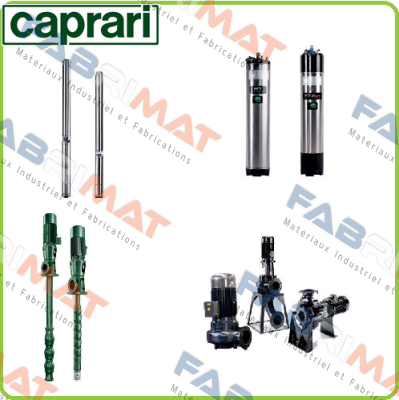 mechanical seal for Type: CVX041/20+F0400T211 CAPRARI