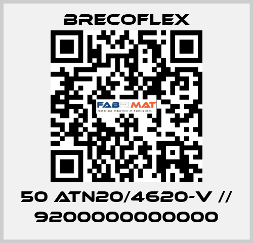 50 ATN20/4620-V // 9200000000000 Brecoflex