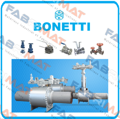 73239 Cesare Bonetti