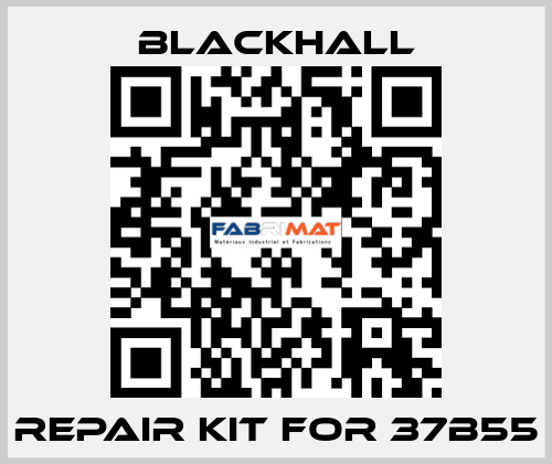 repair kit for 37B55 Blackhall