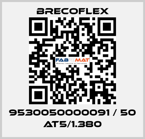 9530050000091 / 50 AT5/1.380 Brecoflex