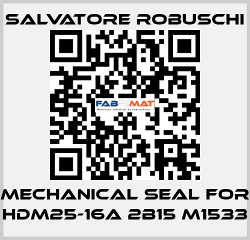 mechanical seal for HDM25-16A 2B15 M1533 SALVATORE ROBUSCHI