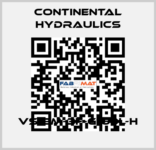 VS12M-3F-G-60L-H Continental Hydraulics