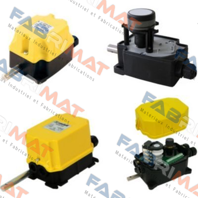 FRS0050R2-0009  Ravioli