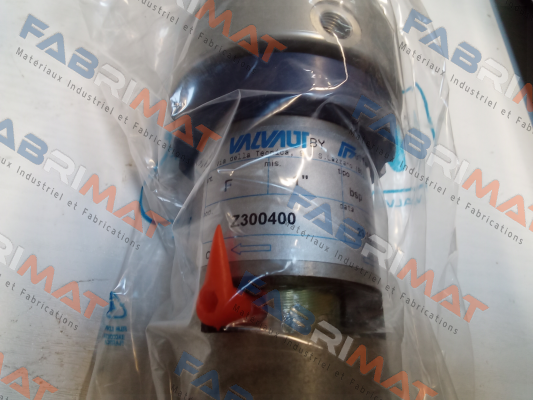 Z300400 Valvaut
