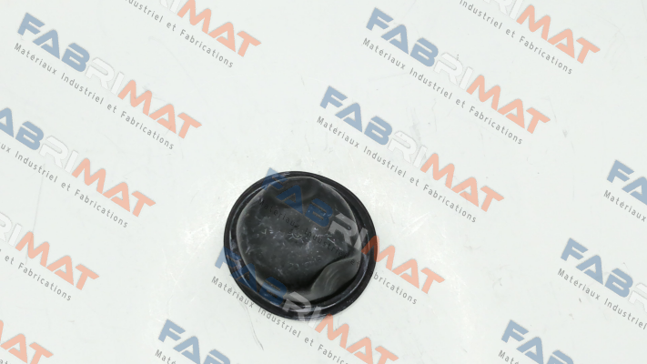 A04246874 MAHLE