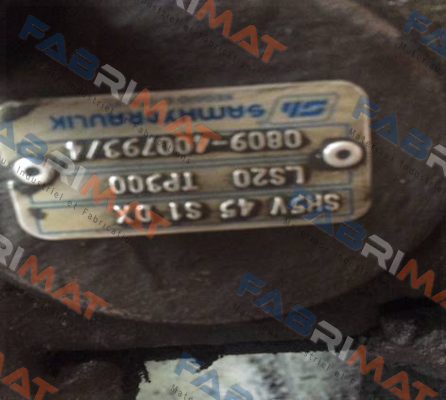 SH5V 45 S1 DX LS20 TP300 - replaced with S5AVP045 45 0 ME 02 S10 DX LSPCX 20  Sam Hydraulik