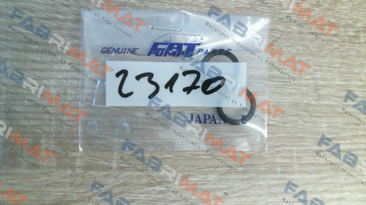 23170 Cat Pumps