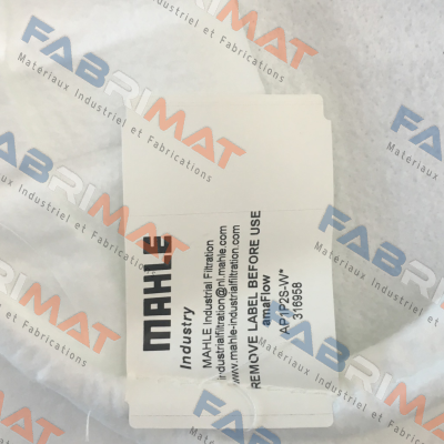 PPSG-001-WS-SS2 (0001) MAHLE