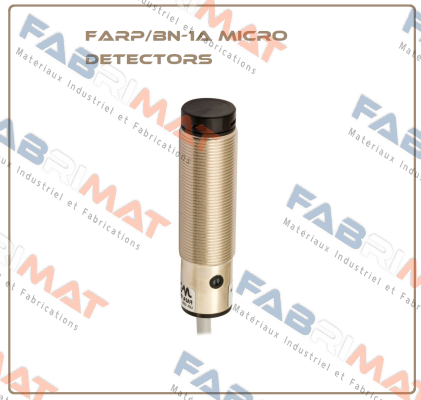 FARP/BN-1A Micro Detectors / Diell (now Datasensing)