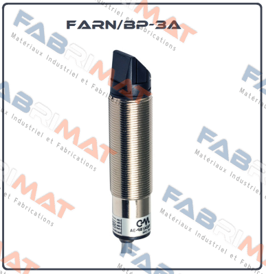 FARN/BP-3A Micro Detectors / Diell (now Datasensing)