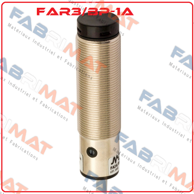 FAR3/BP-1A Micro Detectors / Diell (now Datasensing)