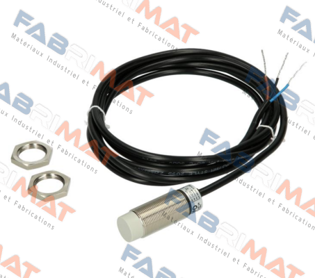AK1/AP-2A Micro Detectors / Diell (now Datasensing)