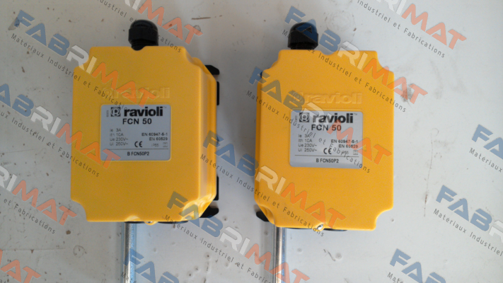 BFCN50 P2 Ravioli