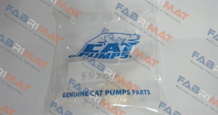 831290 - PLUNGER, CERAMIC (M20x18) Cat Pumps